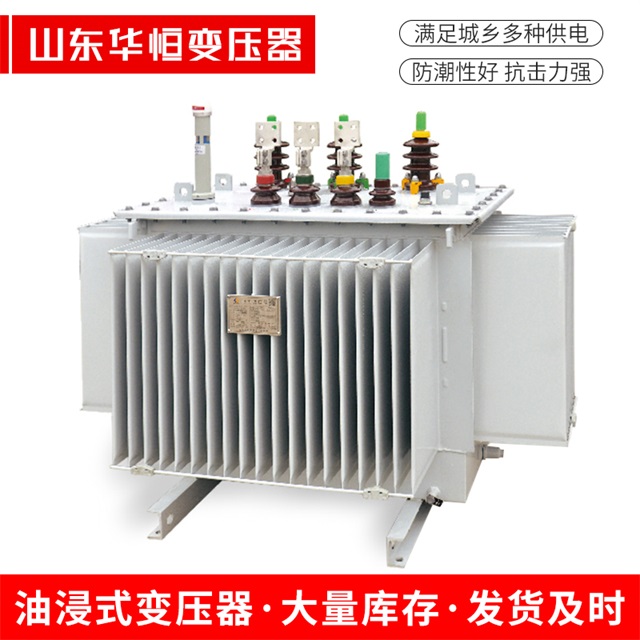 S13-10000/35下陆下陆下陆电力变压器